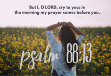 Psalm 88:13 Psalm 88-13